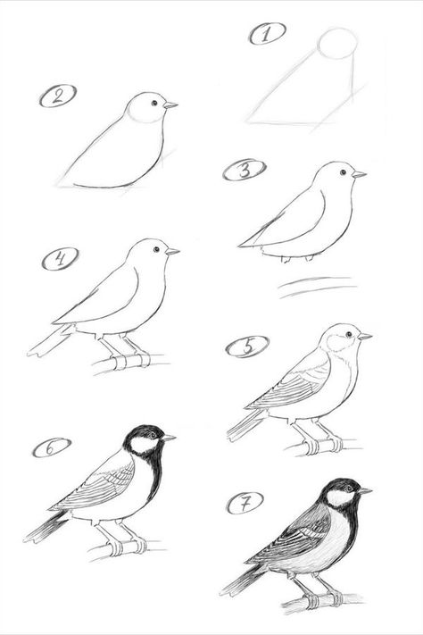 Cornspiration Animal Drawing Guide, How To Draw Birds Easy, Draw Birds Easy, Bird Doodle Art, Bird Drawings Easy, Simple Bird Drawing, Draw A Bird, Bird Doodle, Easy Animal Drawings