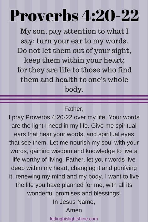 Violet Fairy, Pray Scripture, Scripture Prayers, Connect With God, Proverbs 4, Everyday Prayers, Faith Encouragement, Rainbow Magic, Jesus Faith