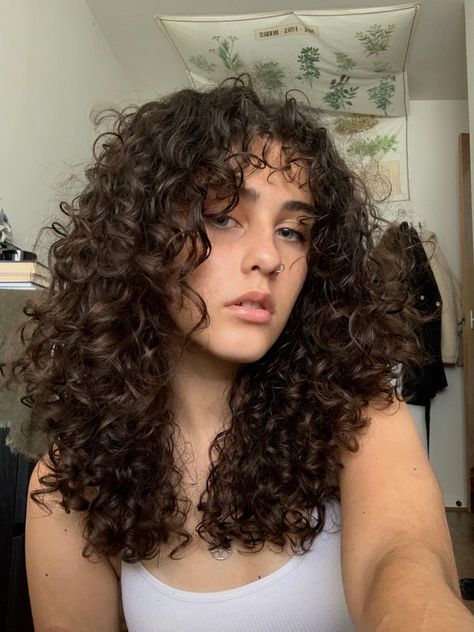 Curly Haircut Reference, Curly Layers With Curtain Bangs, Medium 2c Haircut, Face Framing Haircut Curly Hair, Medium Length Haircut For Round Faces Curly Hair, V Shaped Haircut With Layers Curly Hair, Curly Hair Cuts Mid Length, Mid Length 3b Curly Hair, Cute Haircuts For Curly Hair Medium