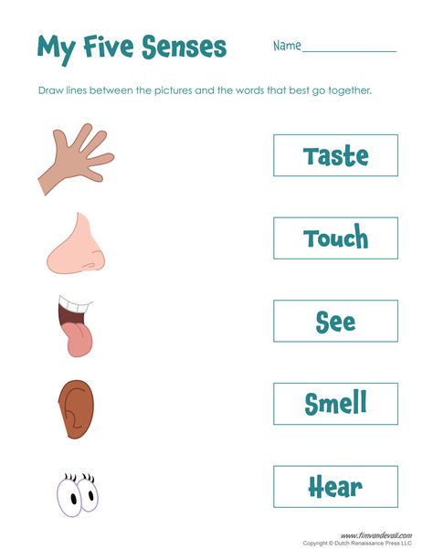 five-senses-activity - Tim's Printables Senses Worksheet Preschool, Senses Activity, 5 Senses Worksheet, Grade R Worksheets, Five Senses Worksheet, Five Senses Preschool, 5 Senses Activities, Senses Preschool, My Five Senses