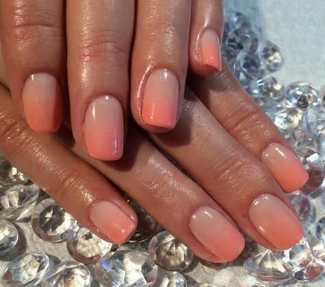 Salmon Ombre Nails, Coral Ombre Nails Summer Short, Milky Coral Nails, Peach Ombre Nails Short, Nails For Coral Dress, Simple Coral Nails, French Coral Nails, Peach And Pink Ombre Nails, Fall Coral Nails