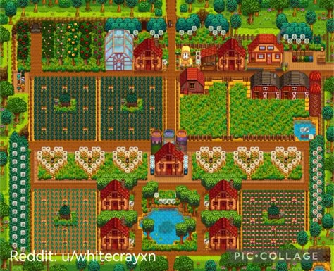 Standard Stardew Valley Farm, Stardew Cute Farm, Sdv Standard Farm Design, Standard Farm Design Stardew Valley, Stardew Valley Farm No Mods, Stardew Valley Beehive Heart, Stardew Standard Farm Ideas, Stardew Valley Early Farm Layout, Stardew Valley Farm Layout Co-op