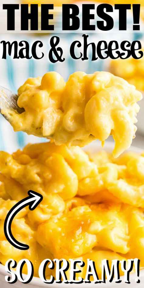 Mac And Cheese With Velveeta And Cheddar, Best Creamiest Mac N Cheese, Taste Of Home Macaroni And Cheese, Chunky Chef Mac And Cheese, Baked Mac And Cheese No Eggs, Ragu Cheese Sauce Mac And Cheese, Mac And Cheese With Mayonnaise, Really Cheesy Mac And Cheese, Macaroni And Cheese Sauce Recipe