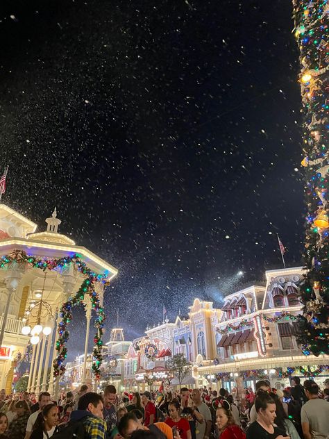 Christmas Aesthetic Disneyland, Christmas Aesthetic Florida, Disney At Christmas Aesthetic, Disney In The Winter, Christmas Disney Pictures, Christmas Disneyland Aesthetic, Disneyland Aesthetic Winter, Disney World During Christmas, Florida Christmas Aesthetic