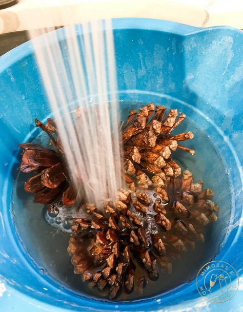 Pine Cone Turkeys How To Make, Clean Pine Cones For Crafts, How To Prep Pinecones For Crafts, How To Make Pine Cones Open Up, Pine Cone Cleaning, How To Wash Pinecones, Pine Cone Bowl Decorating Ideas, Red Pine Cones With Food Coloring, How To Make A Pine Cone Christmas Tree