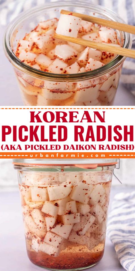 Here's a delicious Labor Day party food idea! This Korean Pickled Radish uses Korean radish or Daikon radish, distilled white vinegar, sugar, salt, and water. Prepare this recipe with easy step-by-step instructions, and pin it for the best summer BBQ side dish! White Radish Recipes, Radish Pickle Recipe, Pickled Daikon Recipe, Pickled Daikon Radish, Korean Pickled Radish, Korean Vegetarian Recipes, Korean Radish, Korean Food Side Dishes, Pickled Daikon