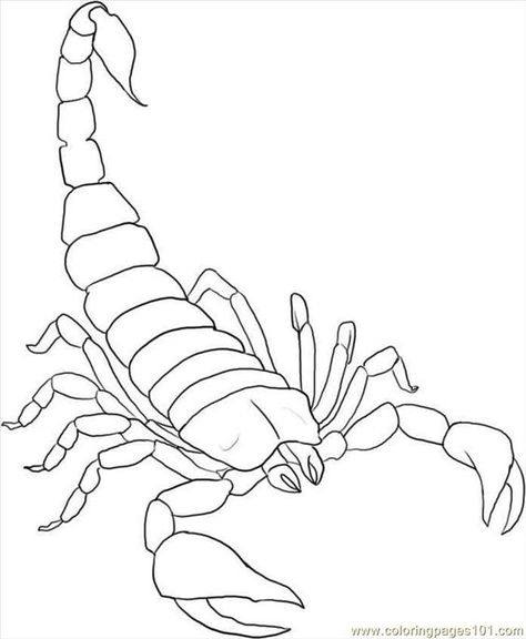 Image detail for -free printable coloring page How To Draw A Scorpion Step 5 (Animals ...: Get Over, Tattoo Graffiti, Scorpio Art, Scorpio Tattoo, Scorpion Tattoo, صفحات التلوين, Time Tattoos, Tattoo Outline, Outline Drawings