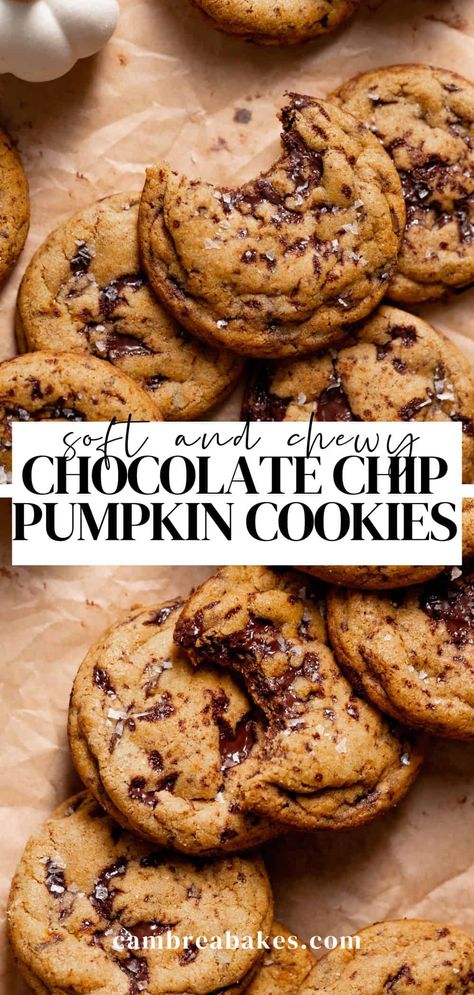 These pumpkin chocolate chip cookies are everything you love about a classic chocolate chip cookie- soft and chewy (not cakey), but loaded with cozy pumpkin spice flavor. You'll love this no-chill, no-mixer cookie recipe for the fall season! Soft And Chewy Pumpkin Chocolate Chip Cookies, Crockpot Chocolate Chip Cookie, Best Soft Pumpkin Chocolate Chip Cookies, Pumpkin Chocolate Chip Snickerdoodles, Baking Recipes With Chocolate Chips, Pumpkin Bakery Recipes, Pumpkin Choco Chip Cookies, Easy Pumpkin Cookies Chocolate Chips, Pumpkin Chocolate Chip Desserts