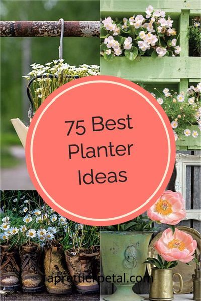 Diy Outdoor Planters Pots, Unusual Garden Planters, Cheap Planters, Recycled Garden Planters, Diy Planters Pots, Recycled Planters, Outside Planters, Garden Sitting Areas, Unusual Planter