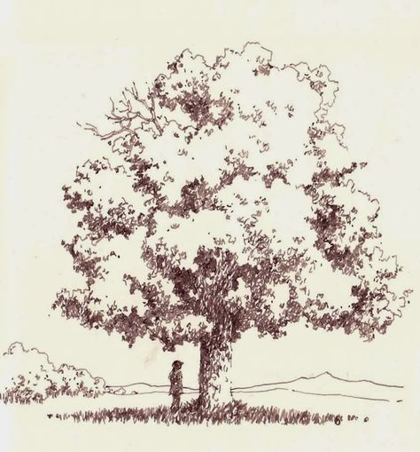 Woods Sketch Trees, Tree On Hill Drawing, Tree On A Hill Drawing, Deciduous Trees Drawing, Person Sitting Under Tree Drawing, Japanese Maple Tree Drawing, Detailed Tree Drawing, Sycamore Tree Drawing, Tree Drawing Architecture