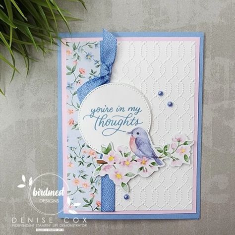 Sale A Bration Day 2: Softly Sophisticated Flight And Airy Dsp, 2024 Card, Painted Lavender, Designer Paper Cards, Bird Stamp, Designer Paper, Spring Cards, Bird Cards, Fancy Fold Cards