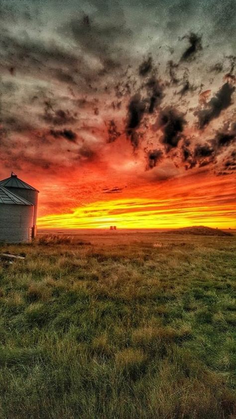 Awe-inspiring Saskatchewan sunrises and sunsets Sunset Landscape Photography, Your Month Your, Country Sunset, Photos Black And White, Country Backgrounds, Sunrises And Sunsets, Sunrise Pictures, Söt Katt, Sky Pictures