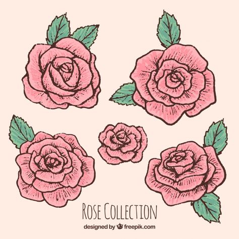 Selection of hand-drawn roses Free Vector Rose Crown Drawing, Roses Art Aesthetic, Drawn Roses Simple, Rose Aesthetic Drawing, Rose Drawing Aesthetic, Aesthetic Rose Drawing, Rose Drawing Reference, Rose Illustration Design, Rose Art Aesthetic