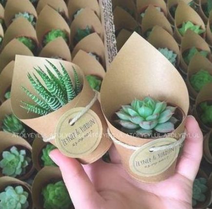 Succulent Wedding Decor, Succulent Bouquet Wedding, Diy Succulent Terrarium, Wedding Plants, Succulent Wedding Favors, Succulent Favors, نباتات منزلية, Succulent Art, Succulent Gifts