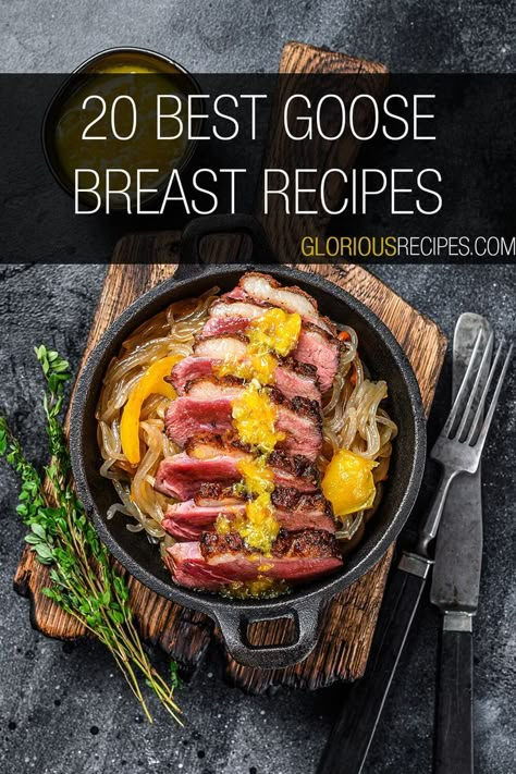 Goose Breast Recipes Goose Brine Recipe, Goose Chili Recipe, Snow Geese Recipes, Goose Crockpot Recipes, Goose Sausage Recipes, Goose Breast Recipes Crock Pot, Canada Goose Recipes, Goose Recipes Wild Crockpot, Snow Goose Recipes