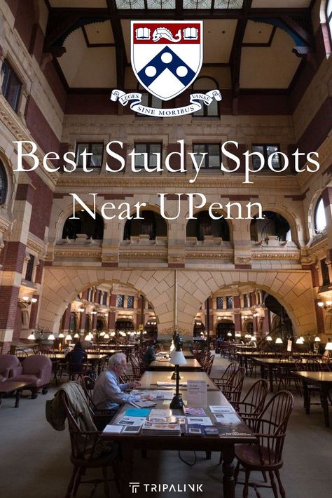 Upenn Library, University Of Pennsylvania Aesthetic, Upenn Graduation, Upenn University Aesthetic, Upenn Aesthetic, Upenn Campus, Upenn University, Penn University, Dream University