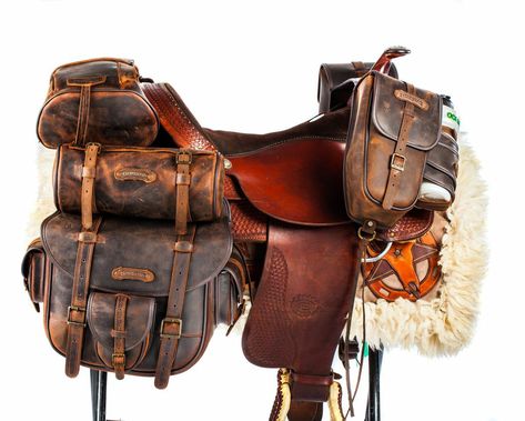 Saddle Bags Horse, Cow Boys, Western Saddles, Real Cowboys, Saddle Accessories, Cowboy Gear, Horse Equipment, Horse Gear, Horse Accessories