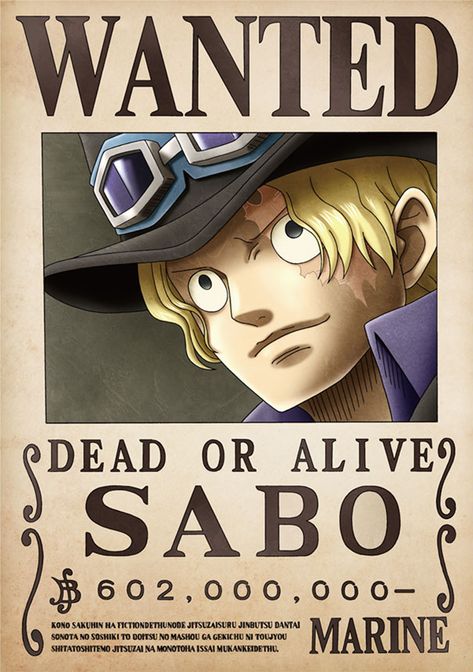 Wanted One Piece, One Piece Fan Art, One Piece Theme, One Piece Bounties, Ace One Piece, One Piece Logo, Sabo One Piece, One Piece Figure, Ace And Luffy