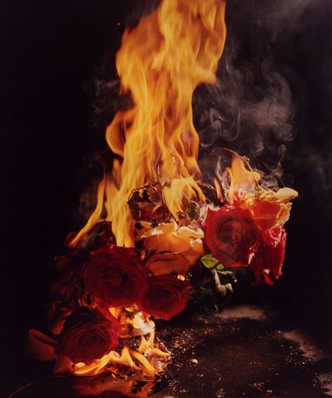 Burning Flowers, Burning Rose, Adut Akech, Fire And Desire, Rennaissance Art, Fire Flower, Rosé Aesthetic, Vogue Australia, Witch Aesthetic