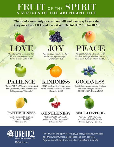 Fruits Of The Spirit, The Fruit Of The Spirit, John 10 10, Love Joy Peace, Spirit Quotes, Bible Study Verses, Bible Lessons For Kids, Fruit Of The Spirit, Bible Knowledge