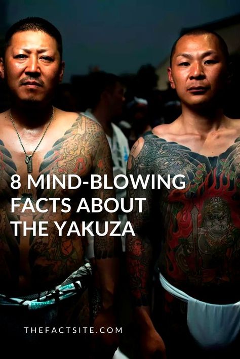 Japan Yakuza, Yakuza Aesthetic, Japanese Yakuza, Tattoo Mafia, Many Tattoos, Old Japan, Yakuza Tattoo, Movie Plot, Gang Member