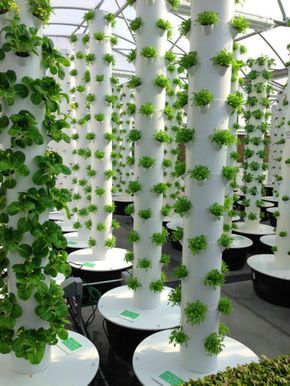 Hydroponic Tower, Diy Garden Landscaping, Aquaponics Diy, Vertical Garden Indoor, Hydroponic Farming, Hydroponics Diy, Vertical Vegetable Garden, Vertical Herb Garden, Vertical Farming