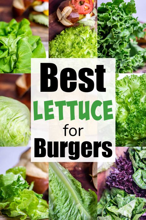 Lettuce Wrap Burger, Romaine Lettuce Recipe, Lettuce Burger, Burger Lettuce, Lettuce Burgers, Chinese Lettuce, Bitter Lettuce, Frisee Lettuce, Lettuce Wrapped Burger