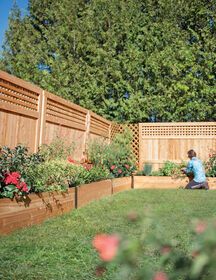 Cedar Raised Garden Beds, Cedar Garden, Raised Flower Beds, Garden Vines, Blueberry Bushes, Backyard Fences, Small Backyard Landscaping, Raised Beds, Raised Garden Beds