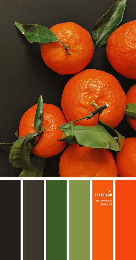 Black Green and Orange Color Scheme – Color Palette #29 1 - I Take You | Wedding Readings | Wedding Ideas | Wedding Dresses | Wedding Theme Black Green Orange Color Palette, Orange Black Palette, Color Palette Orange Purple, Orange Colour Combinations, Orange Combination Color, Orange And Black Color Palette, Rust Color Schemes, Orange Color Scheme, Orange Color Combinations