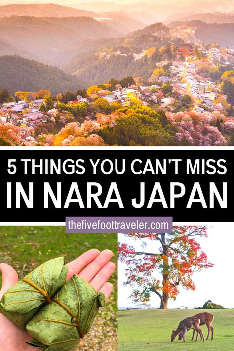 Nara Japan Travel, Nara Prefecture Japan, Narita Japan Things To Do, Nara Day Trip, Things To Do In Nara Japan, Nara Deer Park Japan, Nara Japan Deer, Nara Park Japan, Odawara Japan