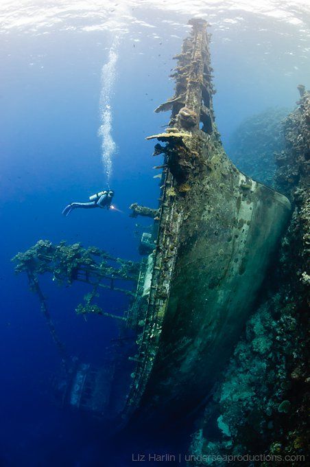 Underwater photograph of a scuba diver exploring an unusually orientated shipwreck in the Solomon Islands Tuna Boat, Ship Wreck, شرم الشيخ, Fauna Marina, Foto Langka, Abandoned Ships, The Reef, Underwater Photos, Grand Cayman