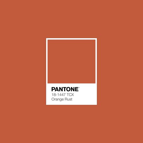 Tried to find a good rusty orange, this was the closest I could get. I love deep oranges with less value but a lot of chroma. Rusty Orange Aesthetic, Pantone Orange, Brown Pantone, Deep Orange Color, Color Library, Pantone Palette, Pantone Colour Palettes, Rusty Orange, Color Meanings