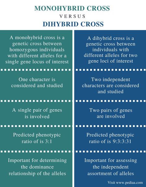 Difference Between Monohybrid Cross and Dihybrid Cross | Definition, Traits, Process, Differences Monohybrid Cross Notes, Monohybrid Cross, Dihybrid Cross, Volume Worksheets, Plant Biology, Teas Test, Learn Biology, Study Biology, Better Habits