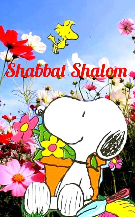 Bon Sabbat, Happy Sabbath Quotes, Jewish Artwork, Jewish Greetings, Good Shabbos, Happy Sabbath Images, Sabbath Quotes, Shabbat Shalom Images, Feasts Of The Lord