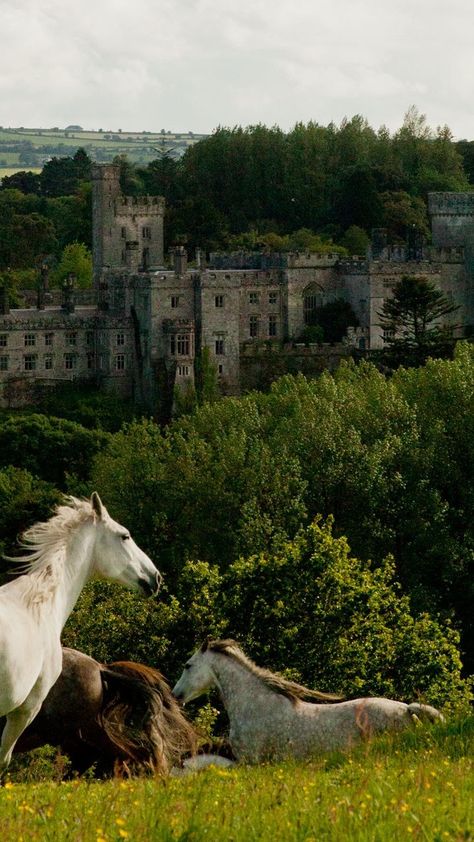 Medieval Ireland Aesthetic, Ireland Travel Photography, Ireland Moodboard, Ireland Core, British Mythology, Clifden Ireland, Eco Aesthetic, Irish Aesthetic, Westport Ireland