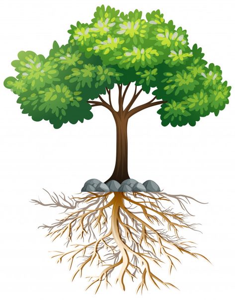 Big green tree with roots underground on... | Premium Vector #Freepik #vector #tree #green #nature #cartoon Roots Underground, Vert Nature, Leaf People, Cacing Tanah, Roots Drawing, Flat Tree, Tree With Roots, Nature Cartoon, Tree Logo Design