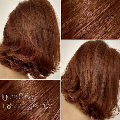 Salerm Fanola BlondMe loreal en Instagram: “Rubio marrón dorado cobrizo? Prueba combinando 8-65 + 8.77 de igora y obtén un espectacular marrón cobrizo 😍 Y para mantener el color por…” Vibrant Hair, Hair Color Formulas, Ginger Hair Color, Copper Hair Color, Hair Color Auburn, Penteado Cabelo Curto, Haircut And Color, Hair Color And Cut, Hair Coloring