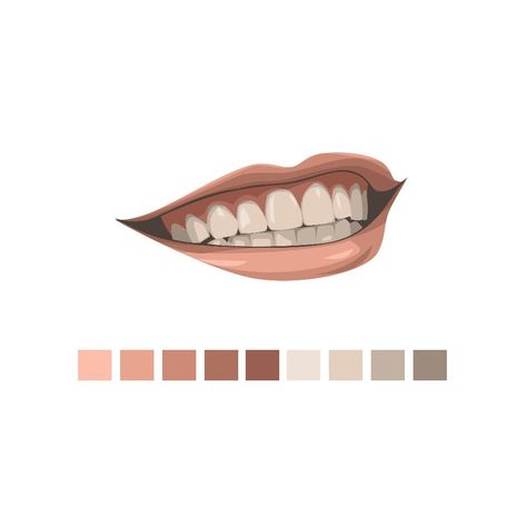 ILLustration art Lip Color Palette Digital Art, Vexel Art Palette, Vector Color Palette, Vector Art Skin Color Palette, Lips Vector, Lip Color Palette, Illustration Tshirt, Lips Color, Vector Portrait Illustration