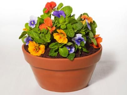 Flower Pot Cake, Pot Cake, Birthday Cake For Mom, Pot Cakes, Orange Food Coloring, Mothers Day Cake, Food Network Magazine, Fondant Flowers, Flower Food