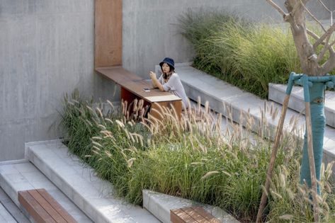 Xi’An LEADERS Primary School – A Green Campus For Fun and Learn « Landezine International Landscape Award LILA Campus Landscape, Landscape Stairs, Landscape Steps, Small Courtyards, Landscape Elements, Landscape Architecture Design, Urban Furniture, Outdoor Classroom, Ornamental Grasses