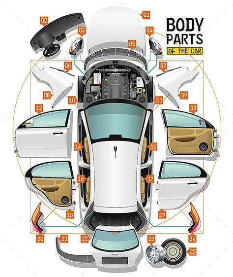 Car Anatomy, Car Body Parts, Bar Tops, Auto Body Shop, Auto Parts Shop, Auto Body Repair, Night Background, Car Spare Parts, Diagram Design