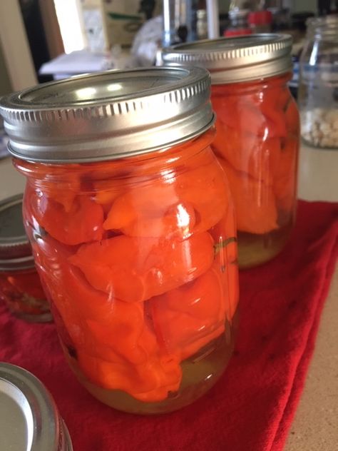 Ghost Pepper Pickles, Ghost Pepper Jelly Recipe, Winter Canning, Refrigerator Jam, Pepper Jelly Recipes, Pickled Okra, Ghost Pepper, Ghost Peppers, Pepper Jelly