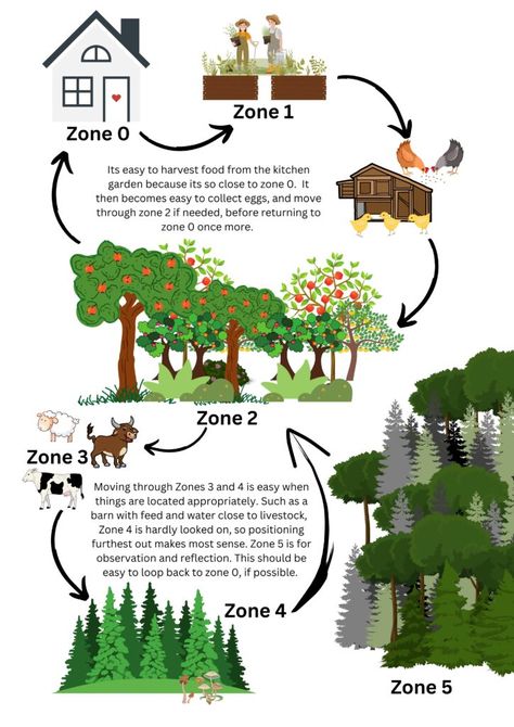 Tropical Permaculture Design, Permaculture Garden Plan, Small Yard Permaculture, Food Forest Layout Permaculture Design, Permaculture Food Forest Design, Permaculture For Beginners, Urban Food Garden, Permaculture Aesthetic, Permaculture Architecture