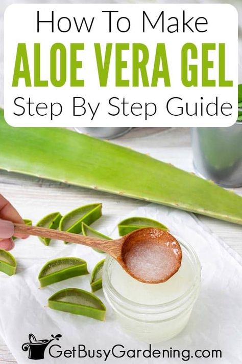 You can quickly and easily make your own aloe vera gel to have on hand for minor scrapes or sunburn! Follow this article to learn everything you need to know about how to make aloe vera gel straight from the leaves of your plant, what tools you need, tips for how to store it, and more. It only takes a few minutes, and keeps fresh for a couple of weeks in your fridge, or freeze it for longer. If you’ve always been curious about how to make aloe vera gel, this step by step tutorial is for you. How To Make Aloe Gel From Plant, How To Store Fresh Aloe Vera Gel, How To Store Aloe Vera Leaves, Aloe Vera Toner Diy, Preserving Aloe Vera Gel, How To Preserve Aloe Vera Gel From Plant, How To Harvest Aloe Vera, How To Make Aloe Vera Juice, What To Do With Aloe Leaves