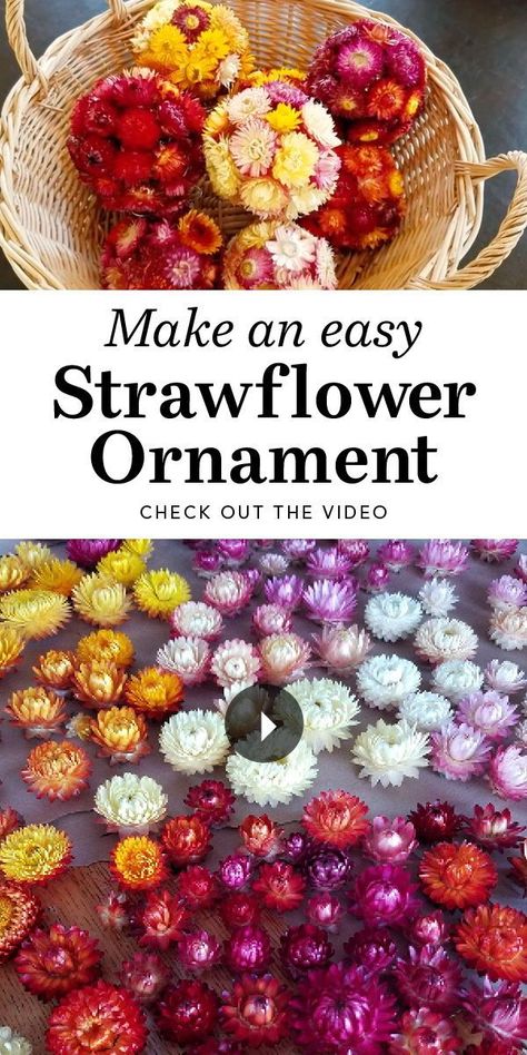 When the weather turns gray outside, add cheerful color to your winter décor with an easy-to-make floral ornament. Dried Flowers Crafts, Rustic Christmas Gifts, Diy Tree Decor, Dried Flowers Diy, Southern Ontario, Dried Flower Wreaths, Diy Fall Wreath, Floral Ornament, Fine Gardening