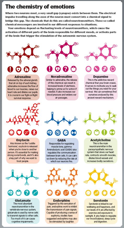 The science of emotions – How It Works Brain Facts, Medical Knowledge, Medical Education, Anatomy And Physiology, Mental And Emotional Health, Psychology Facts, Brain Health, Health Facts, Neuroscience