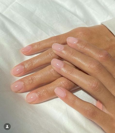 Natural Elegant Nails, Short Clean Nails Natural, Mani Pedi Colors, Sheer Pink Nails, Classy Manicure, Short Classy Nails, Old Money Nails, Money Nails, Soft Pink Nails