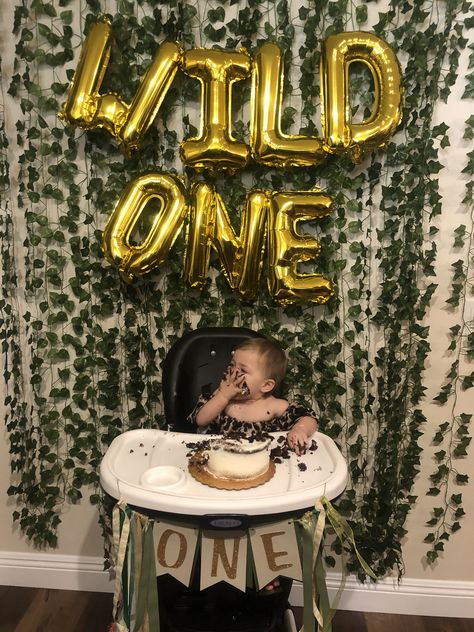 Wild One Birthday Backdrop Ideas, Diy Wild One Decorations, Wild One Birthday Backdrop, Wild One Backdrop Ideas, Wild One Birthday Photo Shoot, Wild One Birthday Party Cake, Wild One Birthday Party Girls Diy, Johnson Twins, Wild One Smash Cake