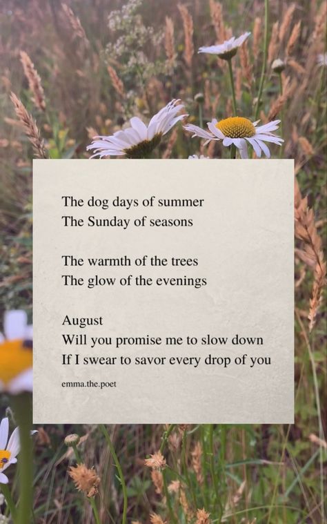 August Aesthetic Quote, August Leo Aesthetic, Late Summer Quotes, Virgo Lifestyle, Poems About Summer, August Poem, October Poetry, Late Summer Aesthetic, End Of Summer Aesthetic