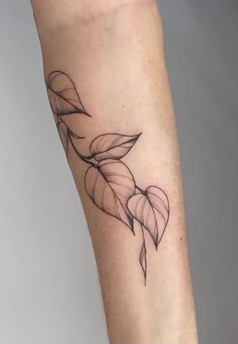 Plant Tattoo Ribs, Golden Pathos Tattoos, Pothos Sleeve Tattoo, Small Pothos Tattoo, Plant Wrapped Around Arm Tattoo, Pothos Leaves Tattoo, Heart Leaf Philodendron Tattoo, Tattoo Designs Plants, Pothos Tattoo Design